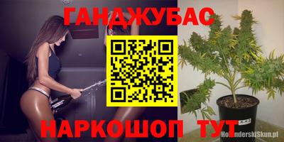 гидропоника Можга