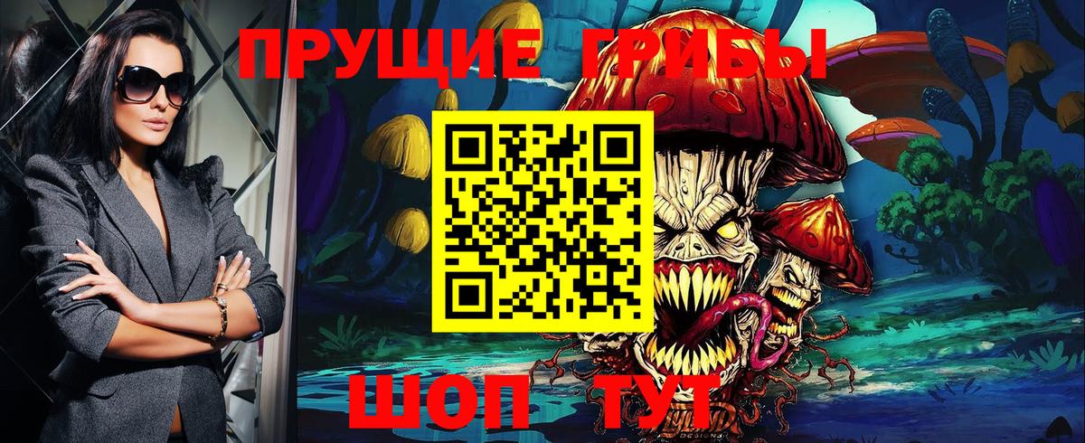 Псилоцибиновые грибы Cubensis Верхний Уфалей