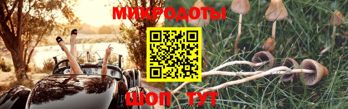 Верхний Уфалей  Галлюциногенные грибы Psilocybine cubensis  Вход с VPN  Псилоцибиновые грибы MAGIC MUSHROOMS 